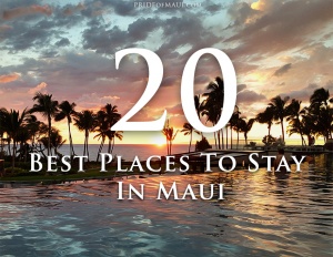 Place to Stay