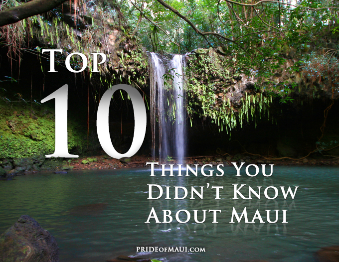 Top 10 Things You Didn't Know About Maui