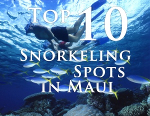 top-10-snorkel-spots