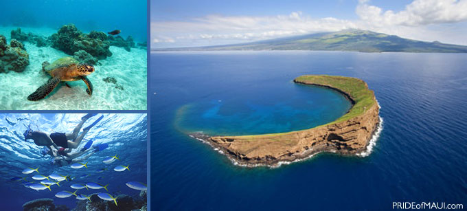 molokini