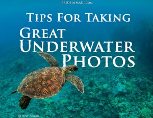 Tips For Taking Great Underwater Photos