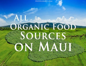 organic-food-sources-maui_featured