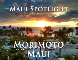 maui spotlight morimoto maui