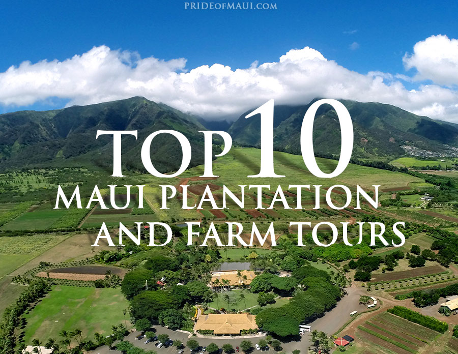 Maui Plantation and Farm Tours Locally Grown Food