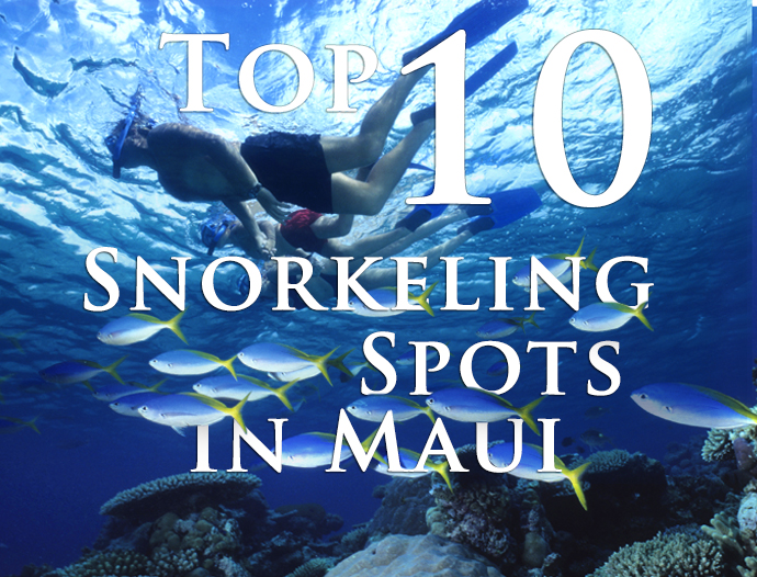 Top 10 Snorkeling Spots in Maui
