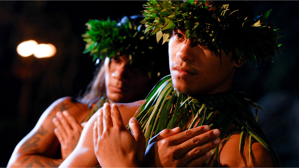 Hawaiian Luaus