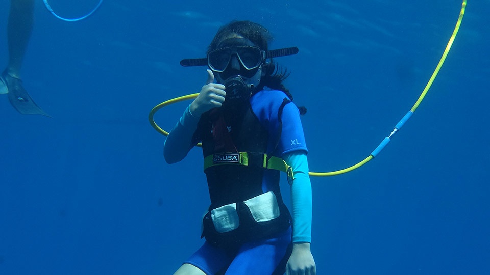 Maui Best SNUBA Diving