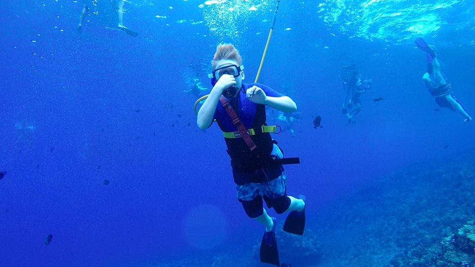 Maui Best SNUBA Diving