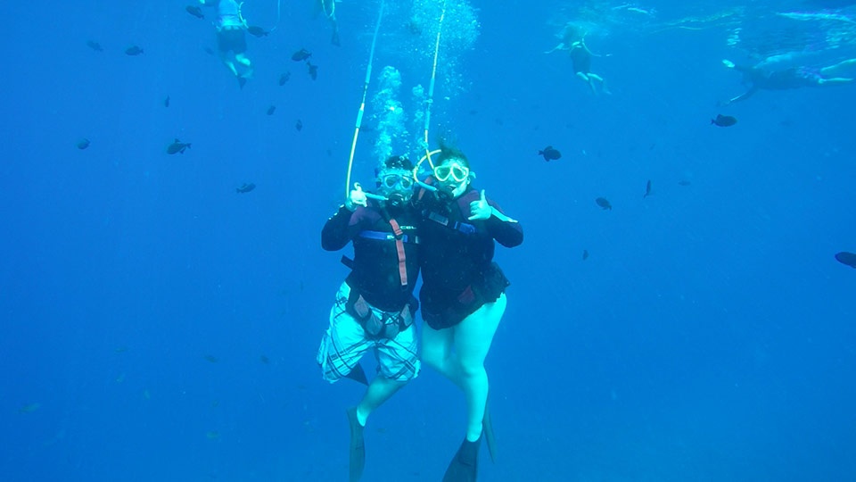 Maui Best SNUBA Diving