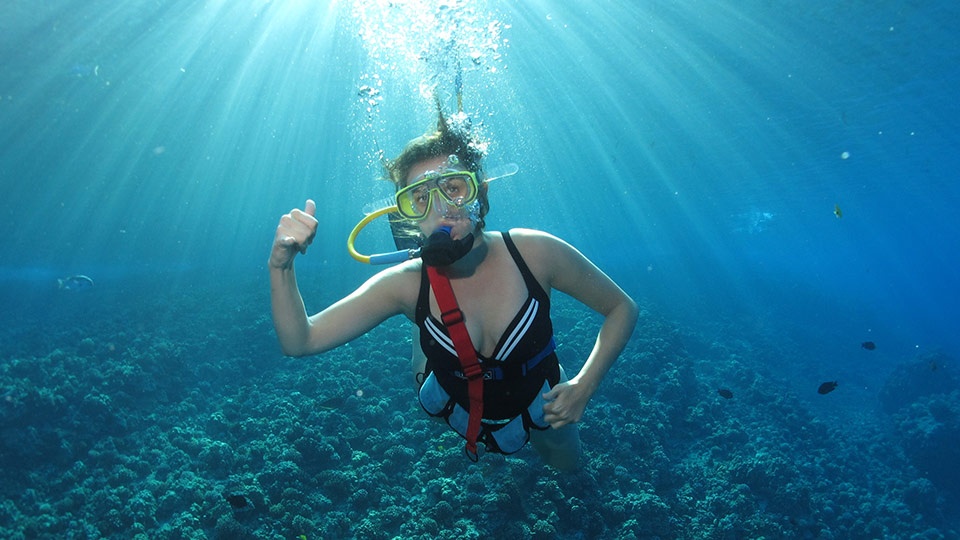 Maui Best SNUBA Diving