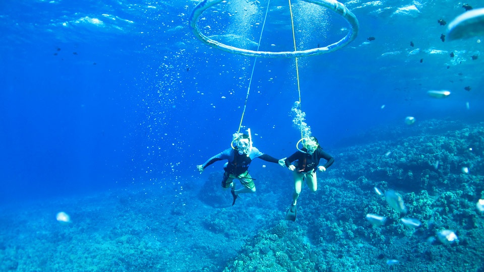 Maui Best SNUBA Diving