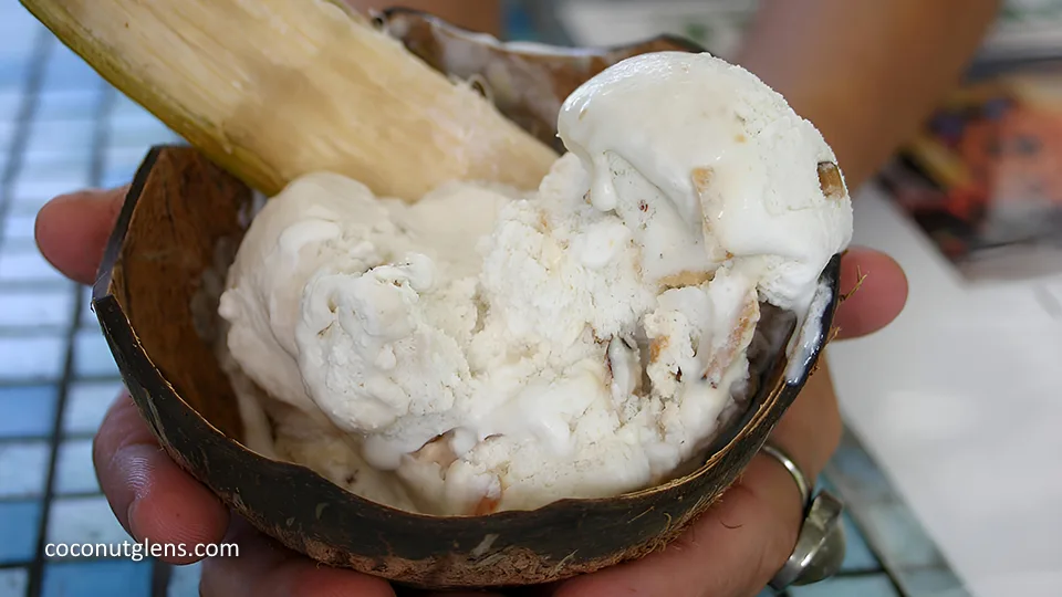 Best Things to Do on Maui with Kids Ice Cream Coconut Glens