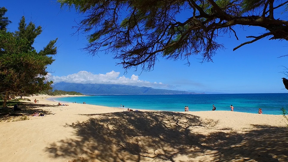 Best Maui Kids Activities Family Beach