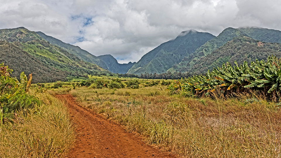 Best Activities Kids Maui Tropical Plantation