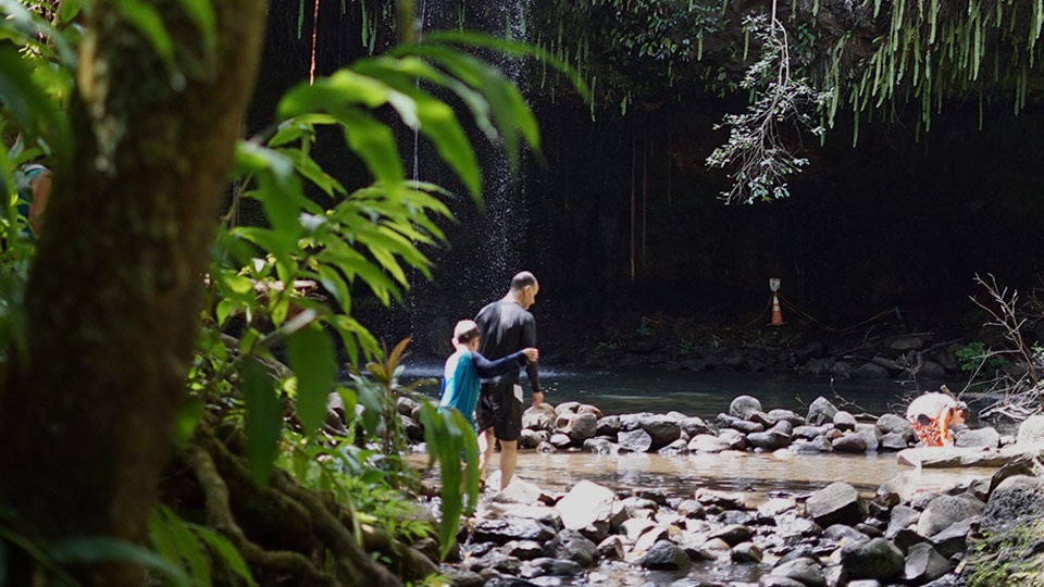 Hiking Kids Activities Maui