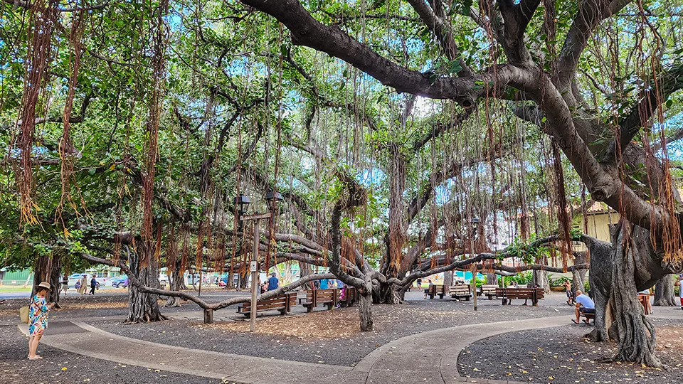 Best Maui Activities Couples Stroll Front Street in Lahaina