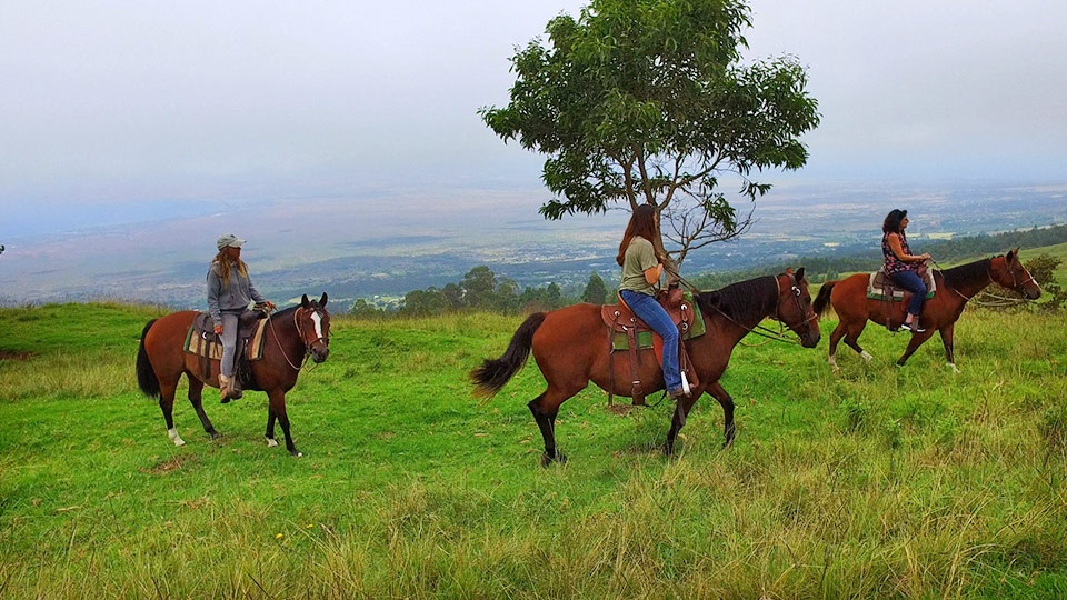 Best Maui Activities Couples Horseback Tours