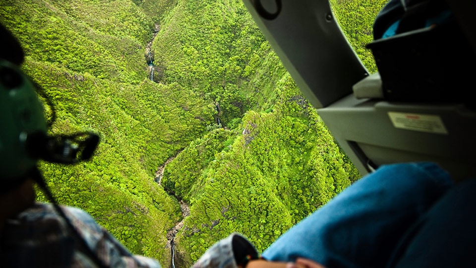 Best Maui Activities Couples Helicopter Tour