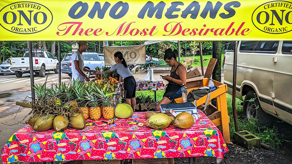 Best Maui ONO Organic Farm