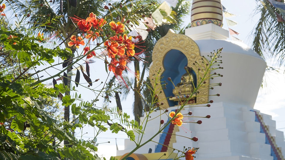 Best Off Beaten Path Paia Stupa