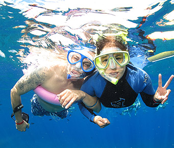 Best Luxurious Activities Maui Snorkel
