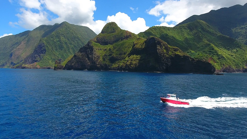 Best Maui Luxurious Sport Fishing