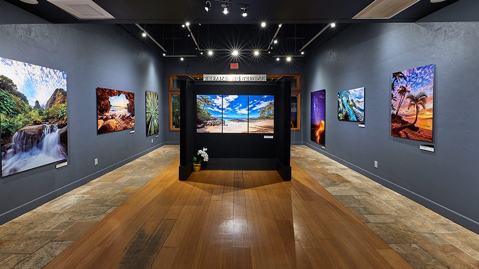 Best Maui Art Gallery Andrew Showmaker