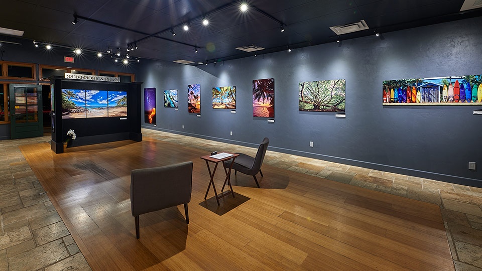 Best Maui Art Gallery Andrew Showmaker