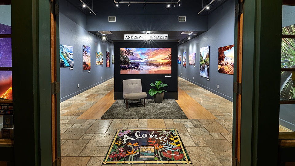 Best Maui Art Gallery Andrew Showmaker