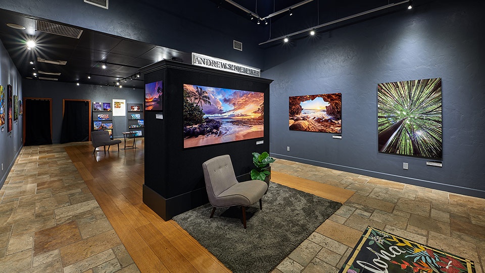 Best Maui Art Gallery Andrew Showmaker