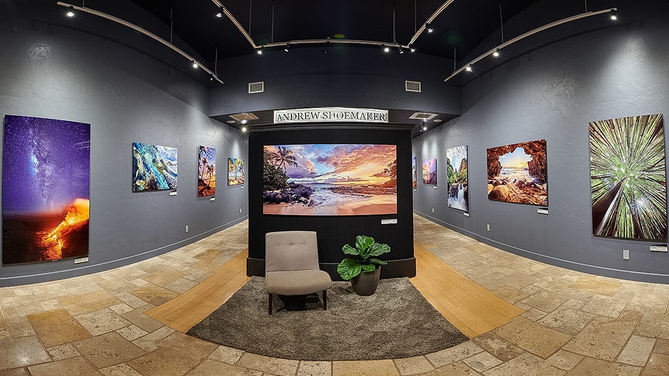 Best Maui Art Gallery Andrew Showmaker