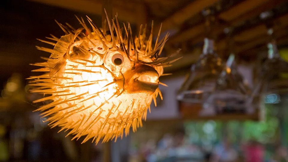 Best Places to Get a Drink on Maui South Shore Tiki Lounge