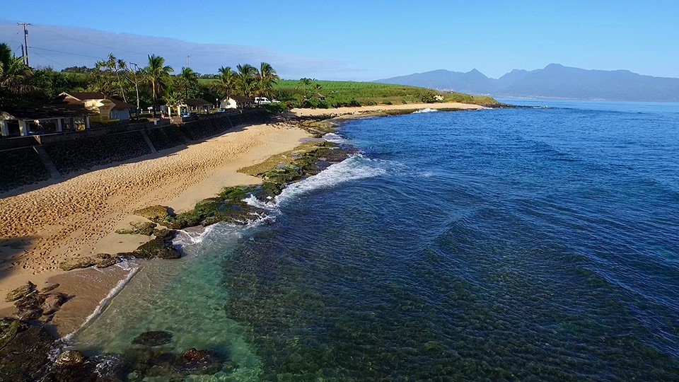 Best Maui Honeymoon Activity Northshore