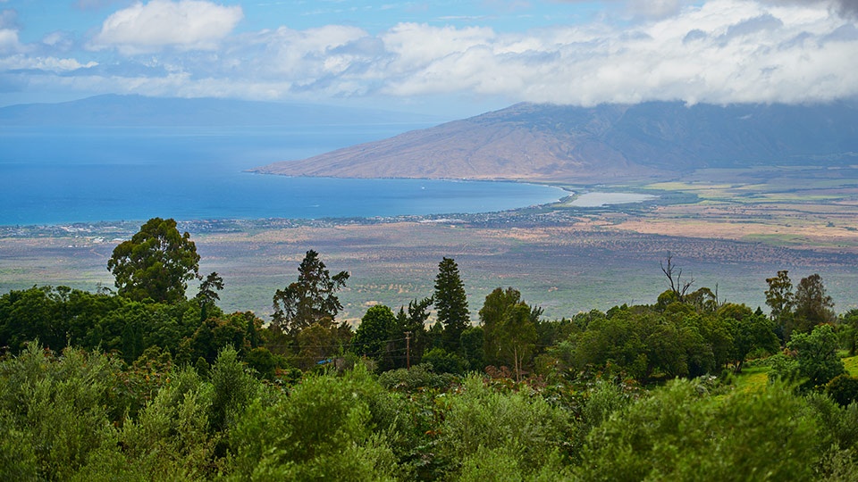 Best Maui Honeymoon Activity Tour