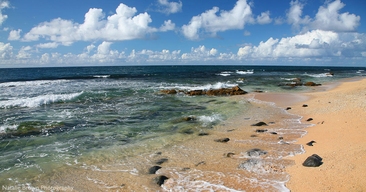 Top 15 Beaches In Maui Best Guide