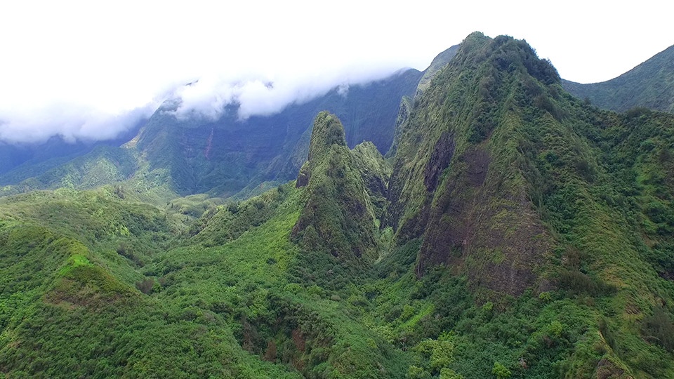 Best Maui Hikes Iao Valley