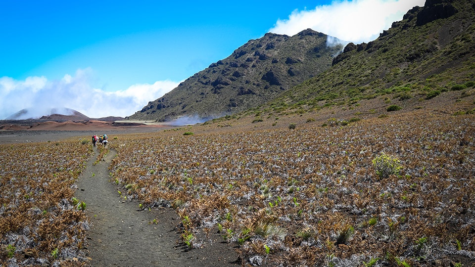 Best Maui Hikes Sliding Sands