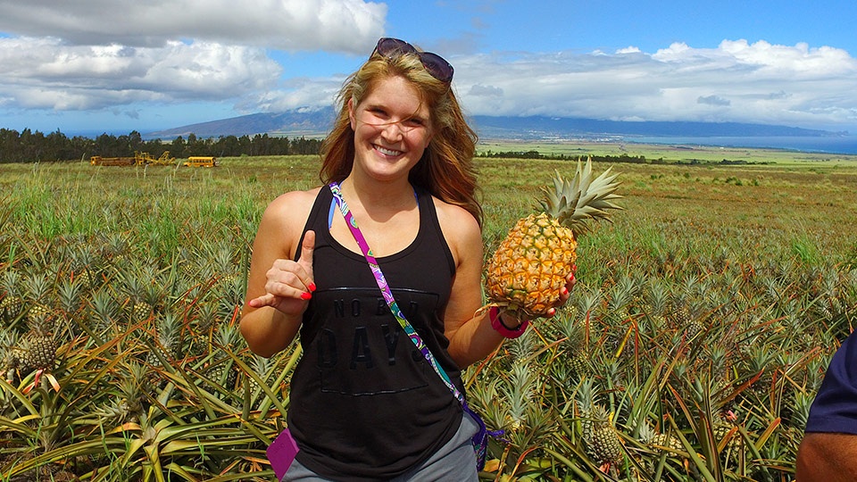 Best Made on Maui Gold Pineapples