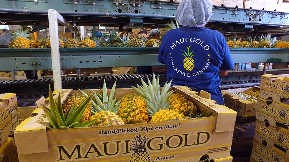 Best Made on Maui Gold Pineapples