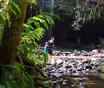 Best Maui Hikes Twin Falls