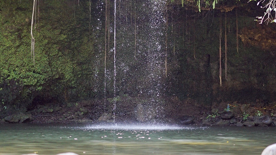 Best Maui Hikes Twin Falls