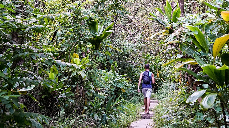 Pipiwai Trail Oheo Gulch Hike Maui