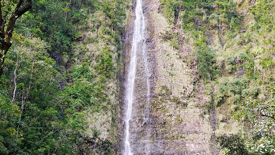 Pipiwai Trail Oheo Gulch Maui