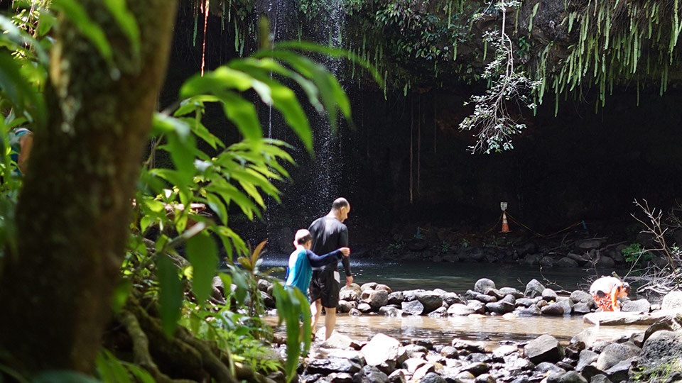 Best Maui Hikes Twin Falls