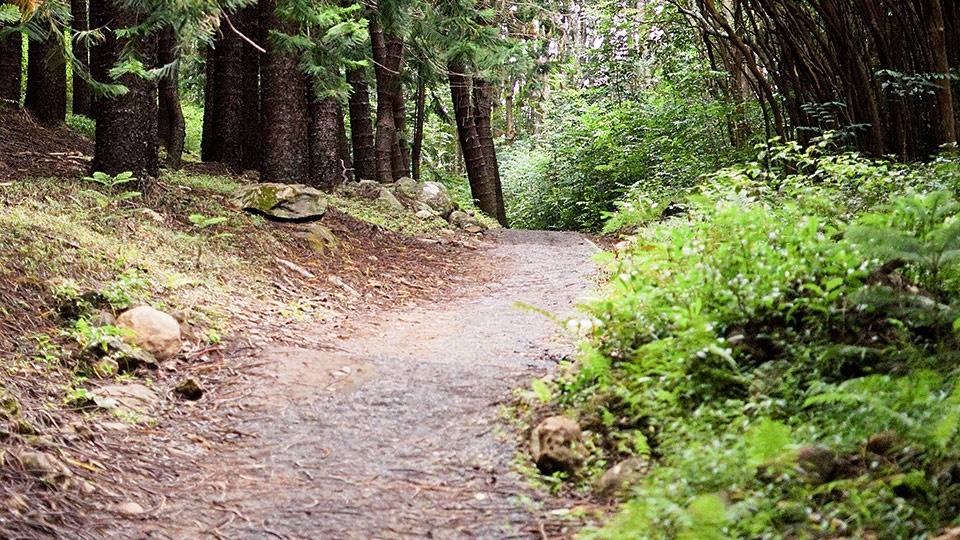 Waihee Ridge Trail Tours Maui