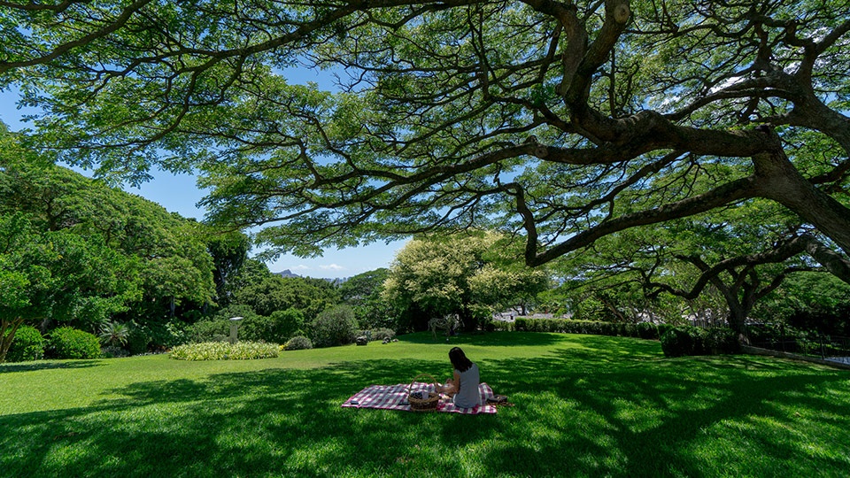 Best Outdoor Maui Activities Picnic