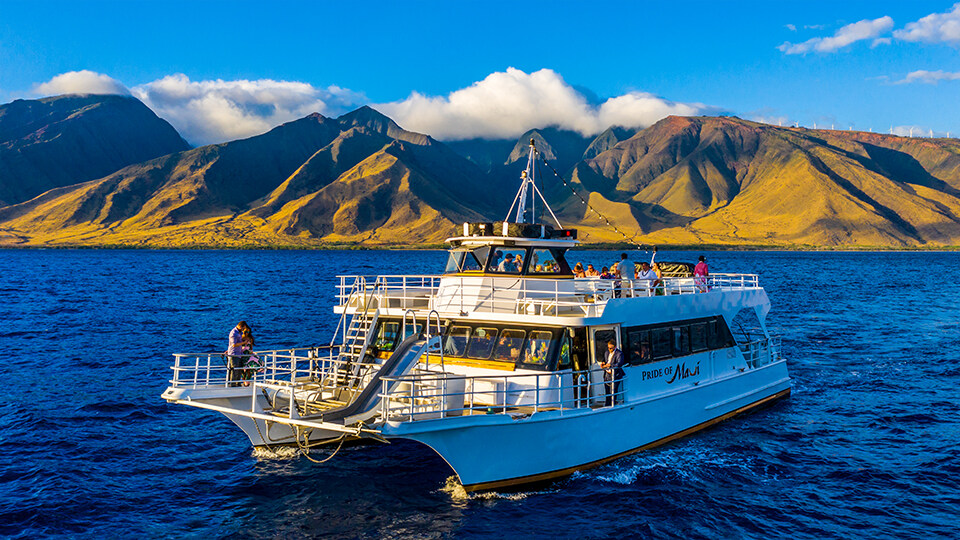 Pride of Maui Wedding Cruise