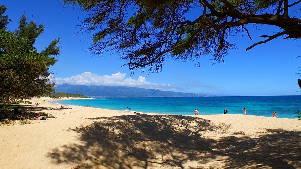 Best Outdoor Maui Activities Beach