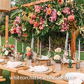 Best Maui Wedding White Orchid Beach House