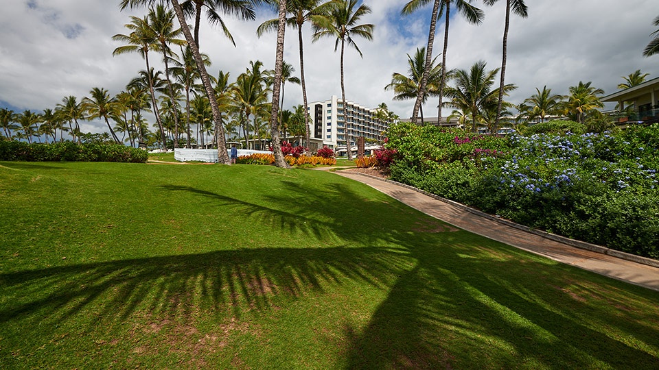 Wedding Andaz Maui